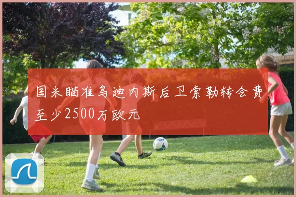 国米瞄准乌迪内斯后卫索勒转会费至少2500万欧元