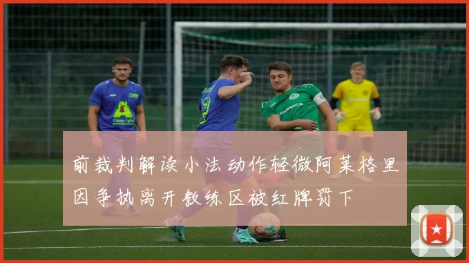 前裁判解读小法动作轻微阿莱格里因争执离开教练区被红牌罚下